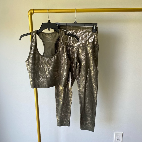 Evolution and Creation Snake Metallic Set - Picture 1 of 7